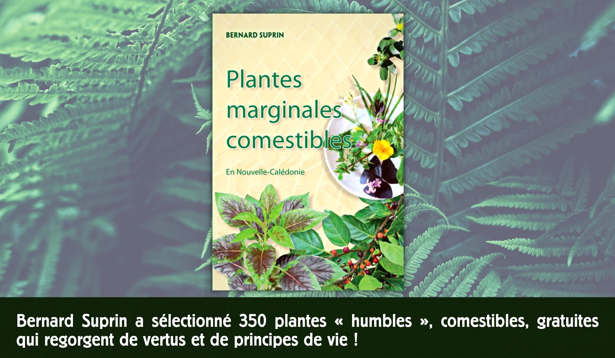 Plantes marginales comestibles de Bernard Suprin